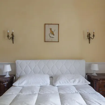 Plinio By Interhome * Rome